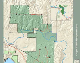 View Cooper Wildlife Management Area Map